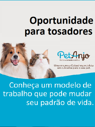 Pet Anjo
