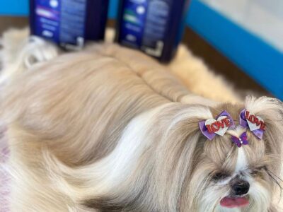 Banhista / Monitora de Creche - São Paulo